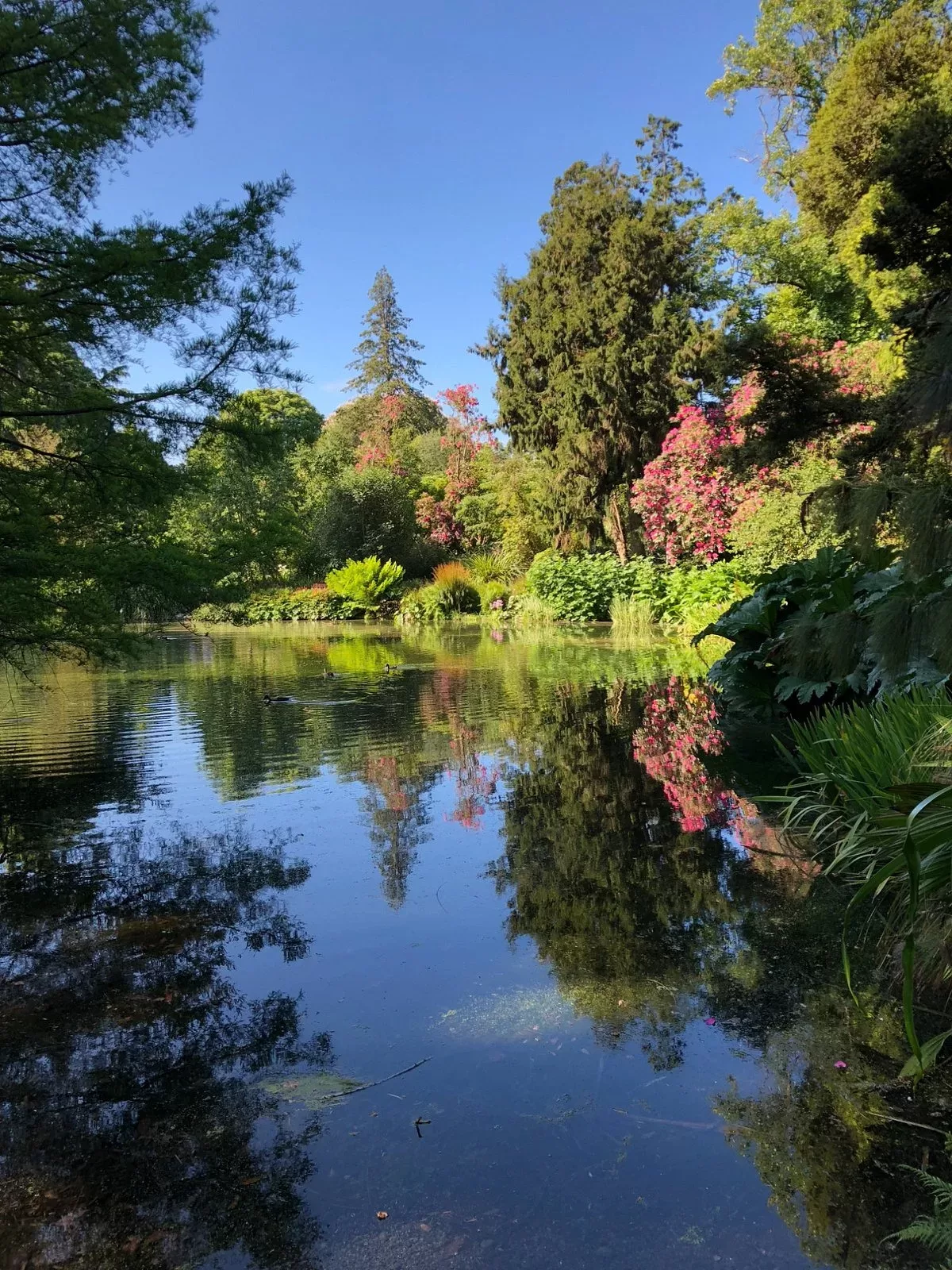 Botanic Gardens Christchurch