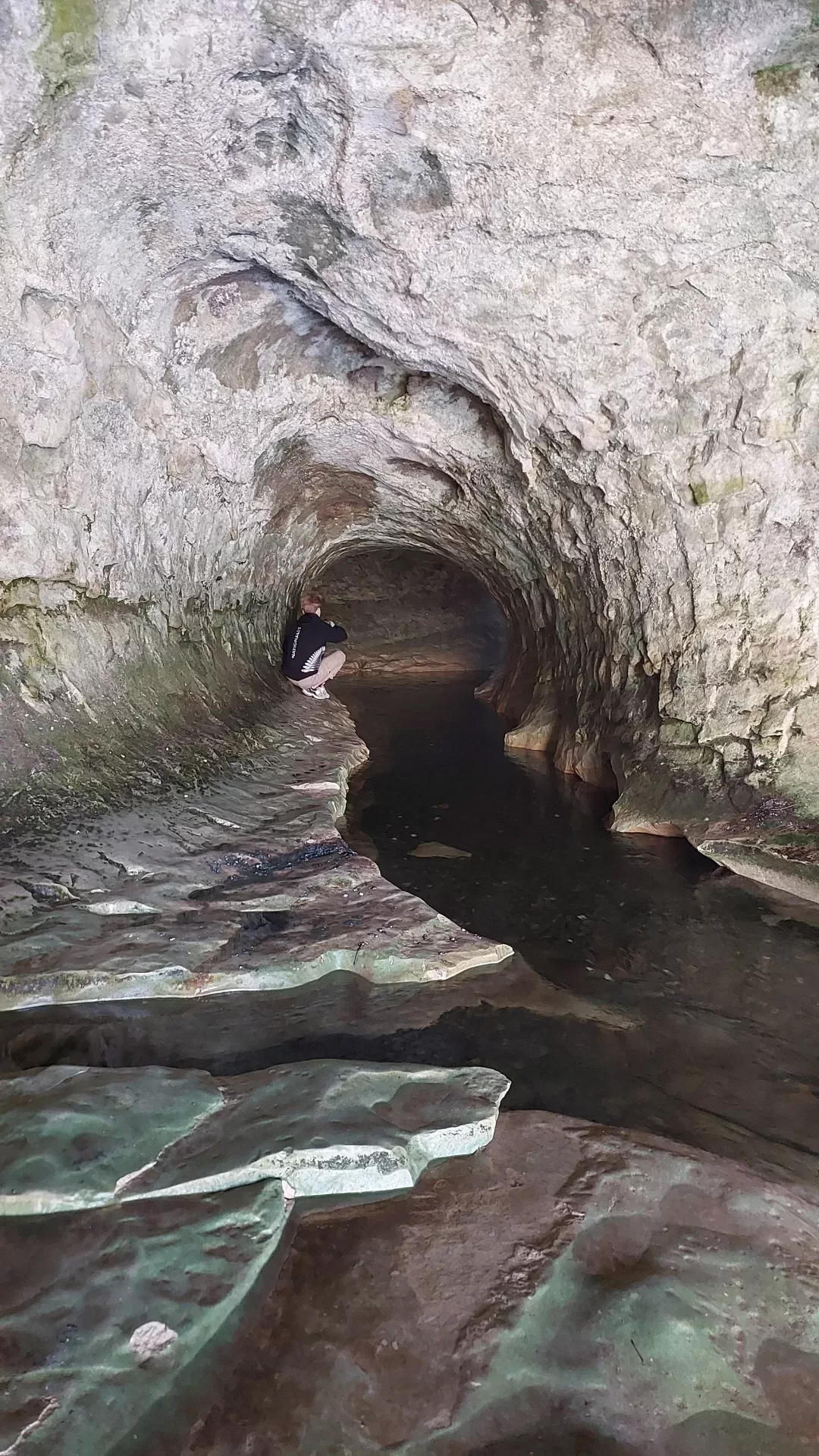 Cave Stream Scenic Reserve (Castle Hill)