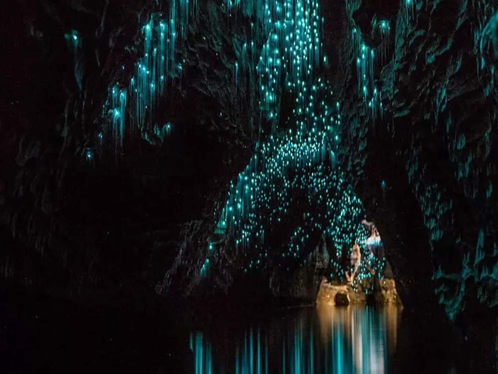 Lake Te-Anau and Glowworm Caves